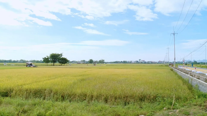 Hà Nội giữ giá đất nông nghiệp, cao nhất 290.000 đồng/m²